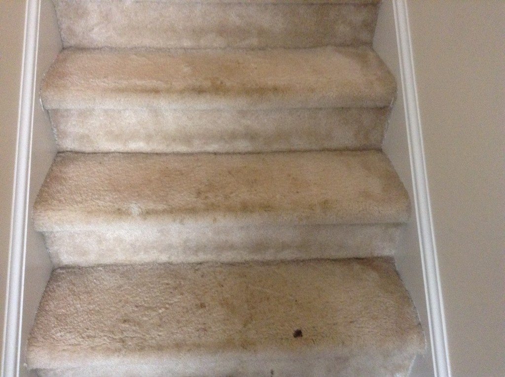 Carpet Spot