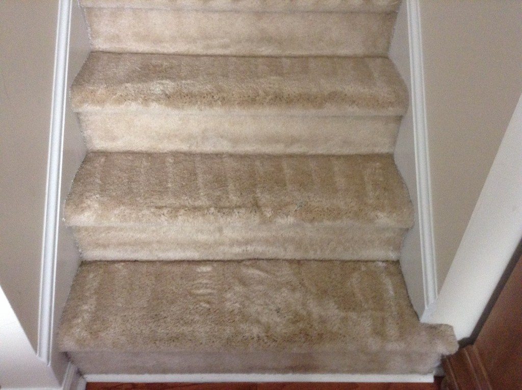 Carpet After