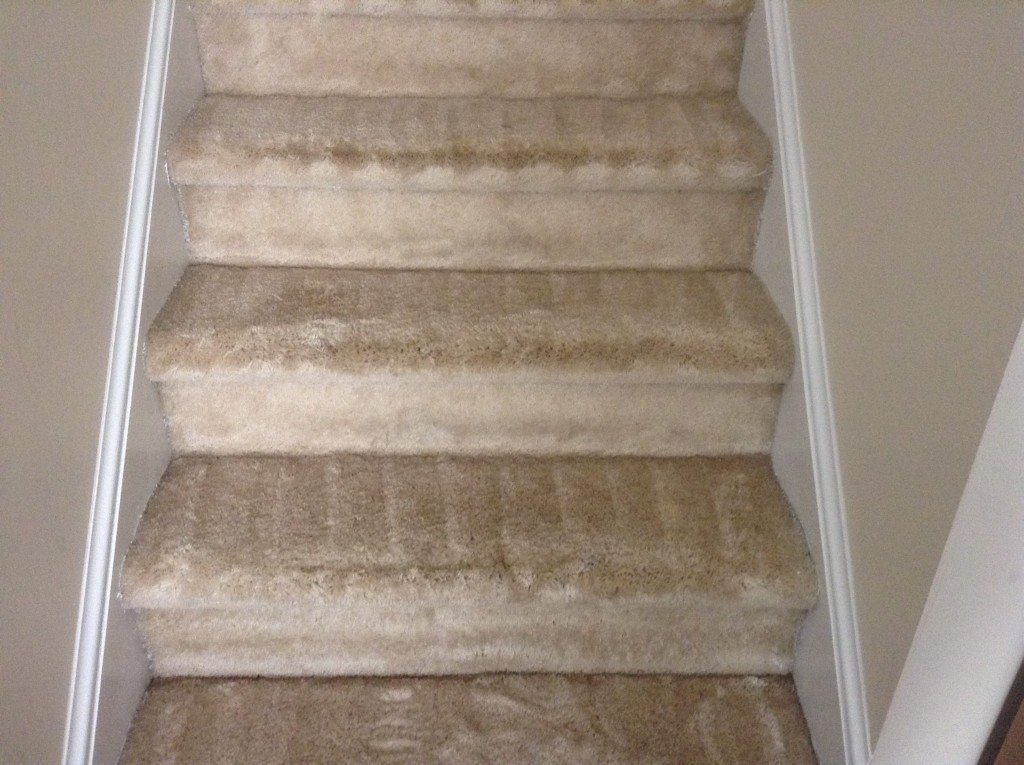 Carpet Cleaned