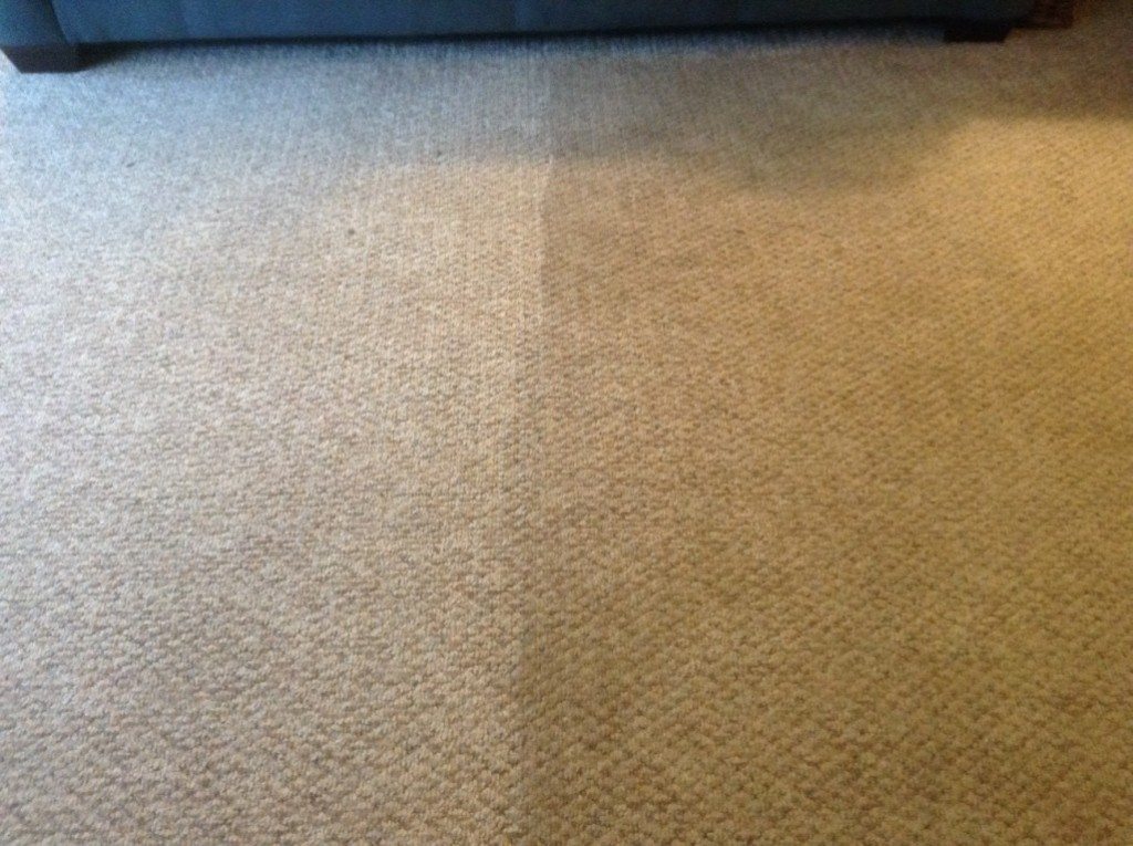 Carpet Cleaning