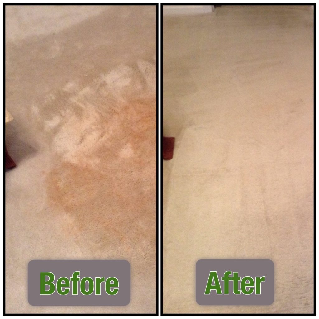 Carpet Cleaning Almost New Floor Cleaning